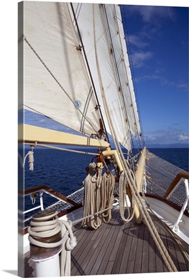 Bow of sailing cruiseship Star Flyer