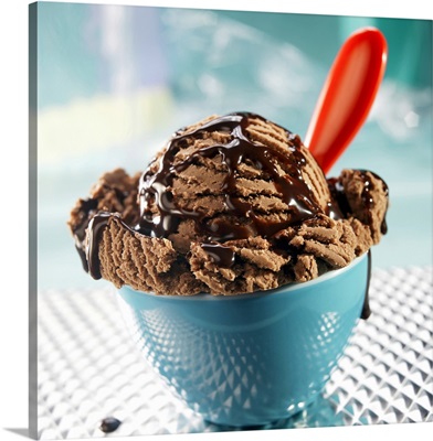 Bowl of chocolate ice cream with chocolate sauce