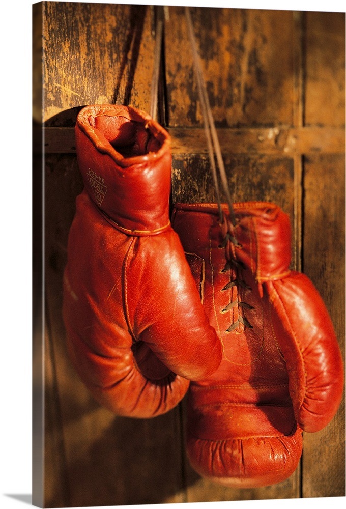 Boxing gloves hanging on rustic wooden wall Wall Art, Canvas Prints