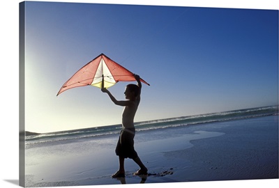 Boy flying kite at beach