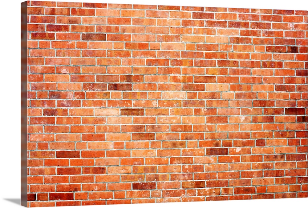 Another Brick In The Wall Canvas Print