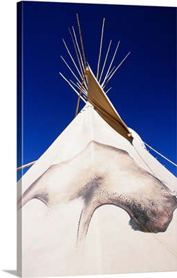 Buffalo tipi at Grand Canyon West Ranch near Meadview