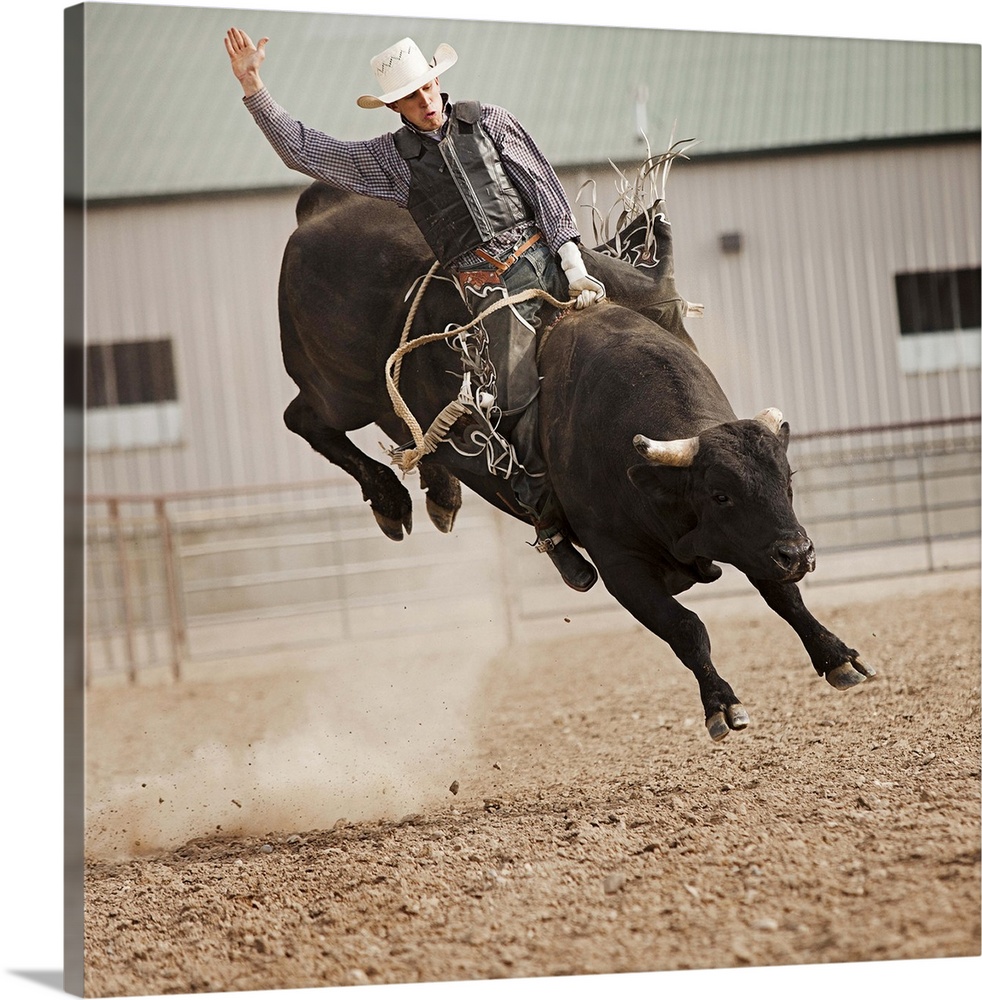 USA, Utah, Highland, Bull rider during rodeo