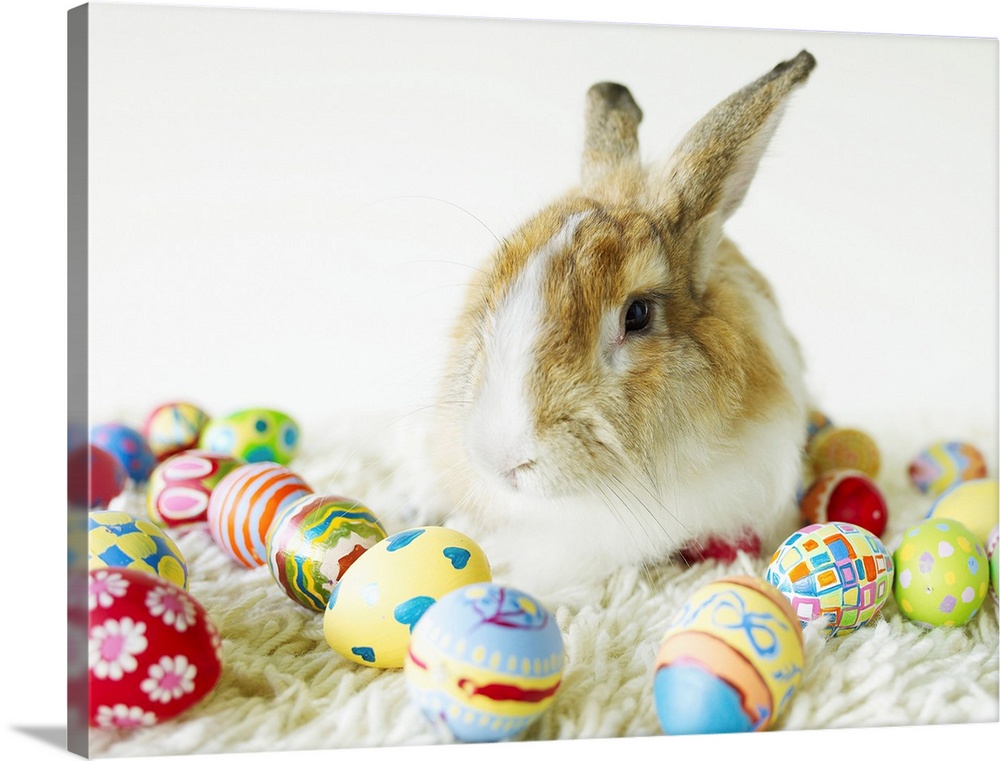 Bunny Rabbit Sitting Among Easter Eggs