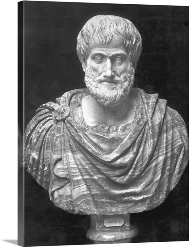 Bust Of Greek Philosopher Aristotle Wall Art, Canvas Prints, Framed