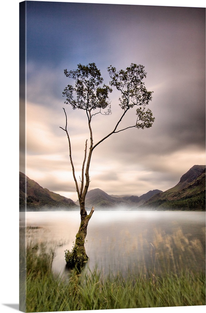 A cold misty / foggy morning making for a dreamy sunrise at Buttermere lone tree, Cumbria.