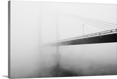 Cable Bridge disappears in fog, Washington.