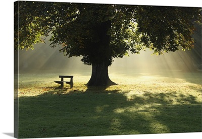 cahir, county tipperary, ireland
