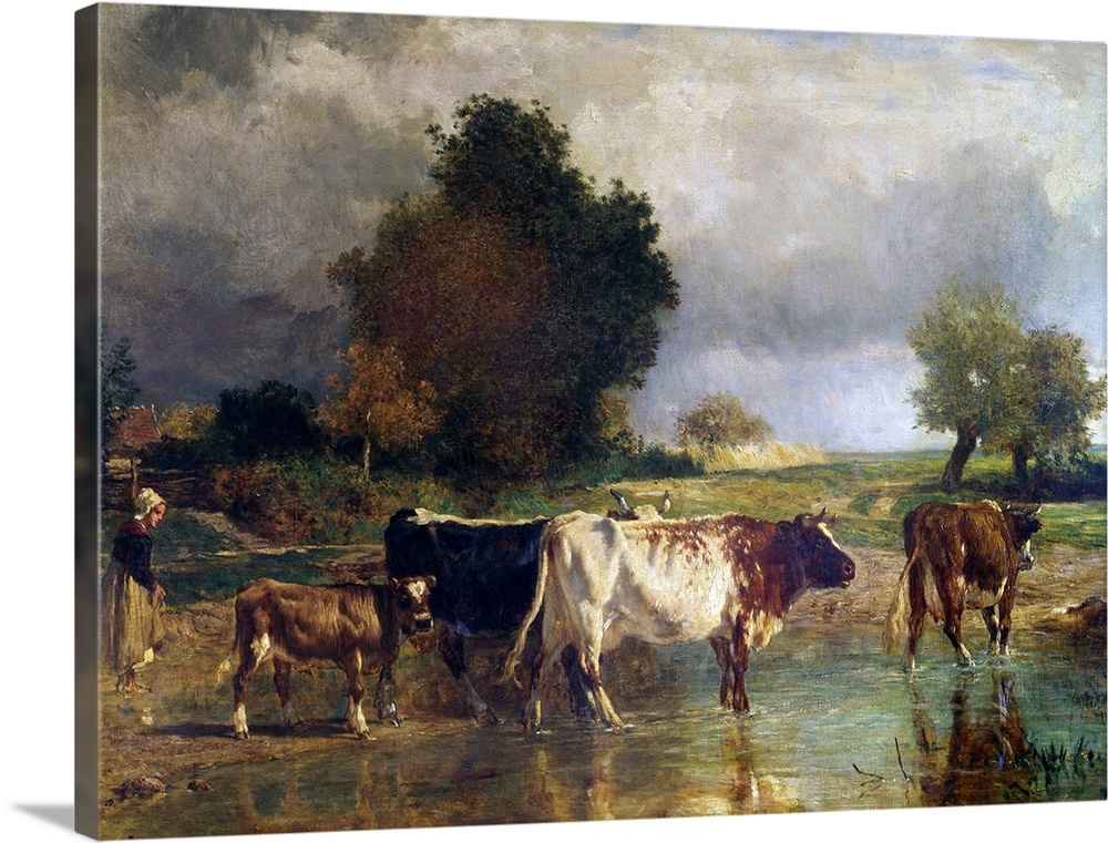 Calf and cows at the marl, called the watering. Painting by Constant Troyon (1810-1865), 19th century. 0,78 x 1,03 m. Louv...