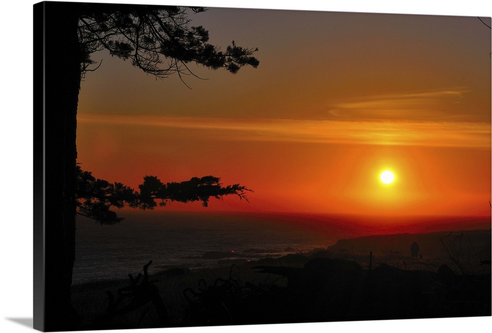 California Coast sunset at Sea Ranch.