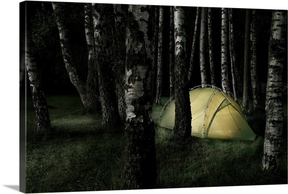 Camping hut in forest at night