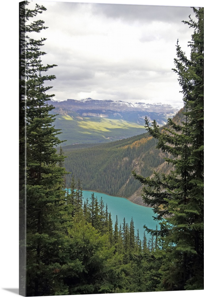 October 2008. View from the Lake Agnes trail.