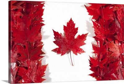 Canadian flag arrange with red maple leaves