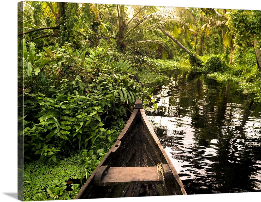 Canoe in the jungle, Kerala, India