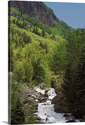 Cascading Stream, Colorado