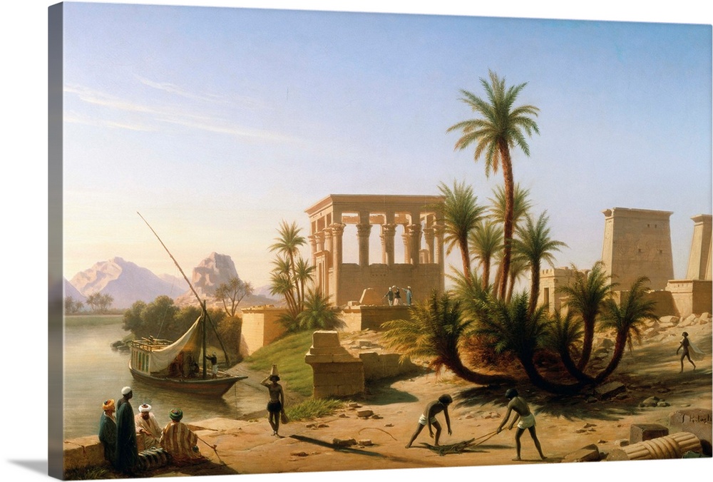 Catching The Crocodile