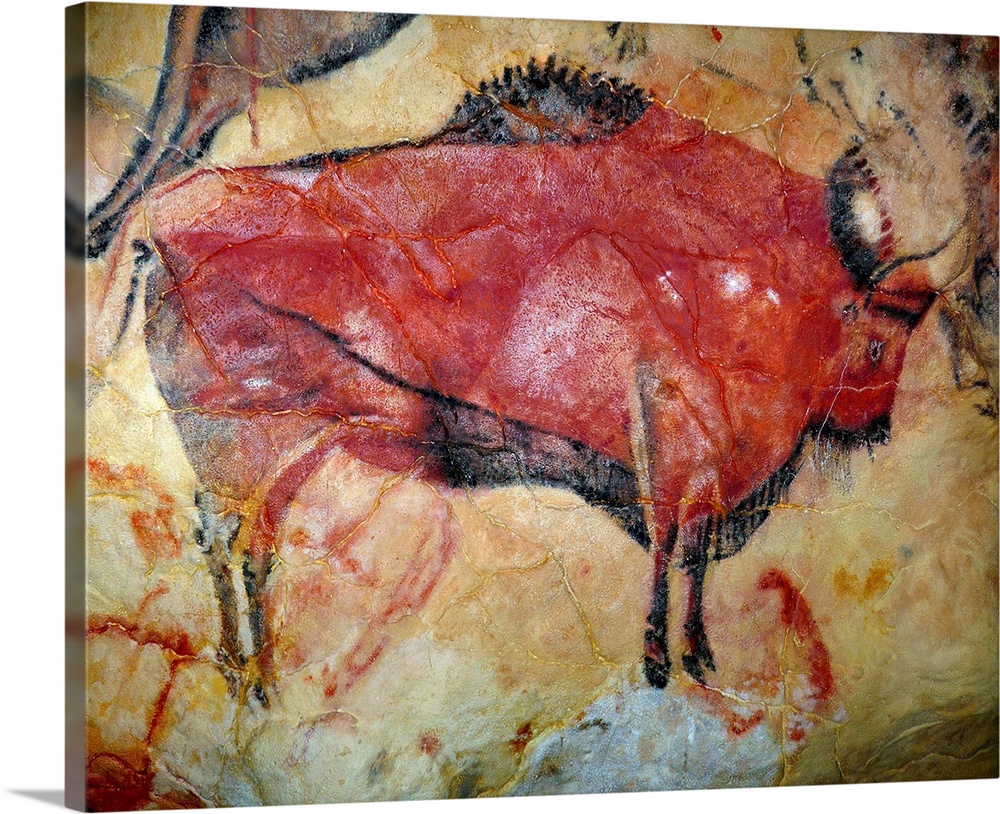 Painting of a bison in the cave of Altamira, Spain.