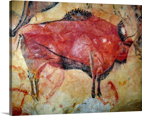 Cave Painting Of Bison At Altamira