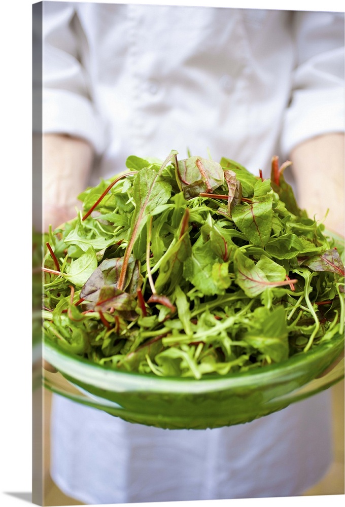 CHEF HOLDING PLATE OF VERDANT GREEN SALAD