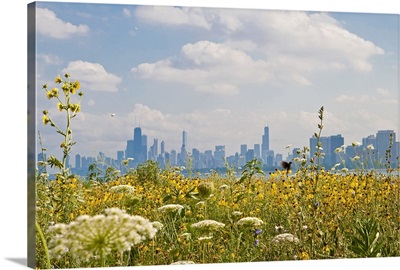 Chicago as seen from Montrose Harbor's bird sanctuary.