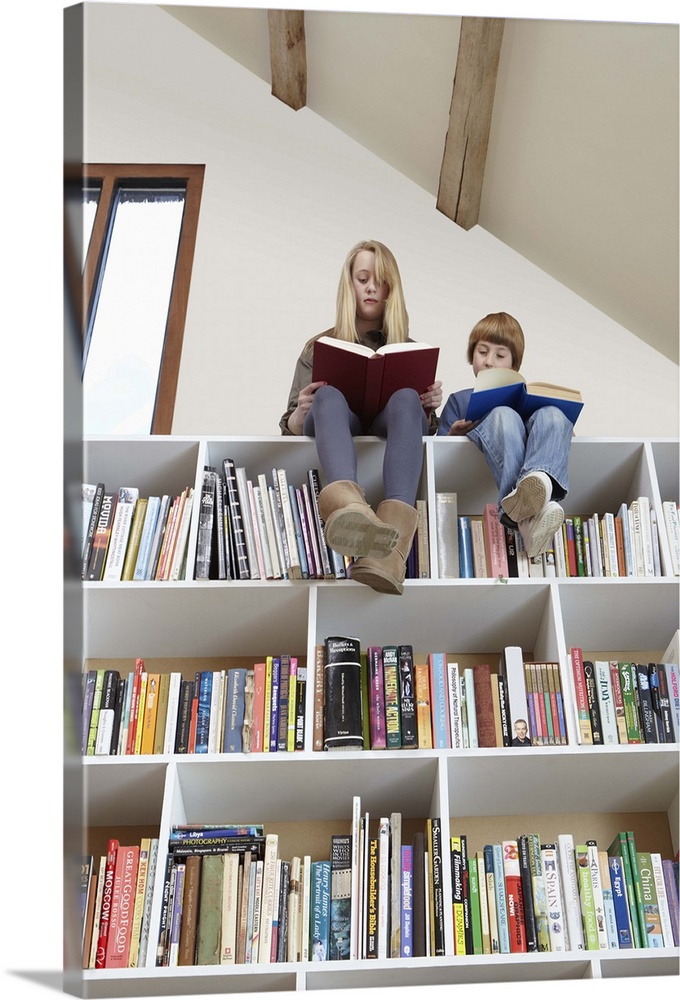 Children sitting on top of bookshelves