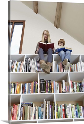 Children sitting on top of bookshelves