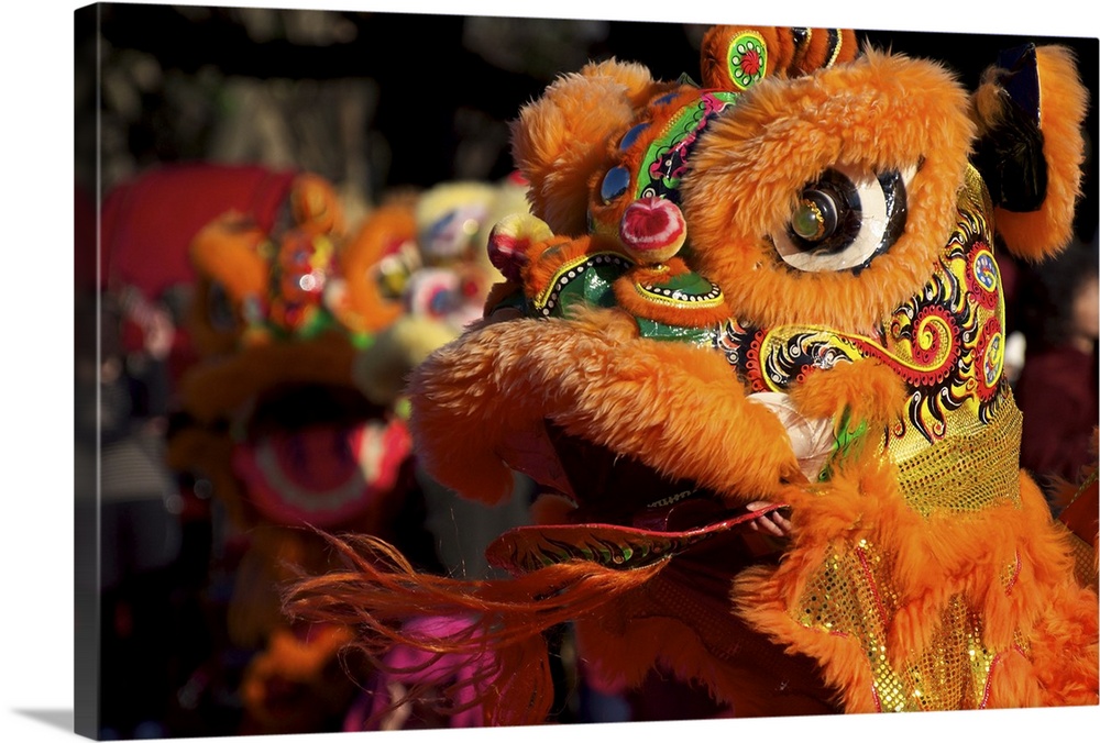 Close-up of Chinese lion dance, Jhubei City, Taiwan.