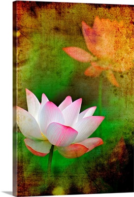 Chinese painting style lotus