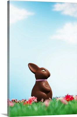 Chocolate Easter bunny amongst flowers in grass, side view