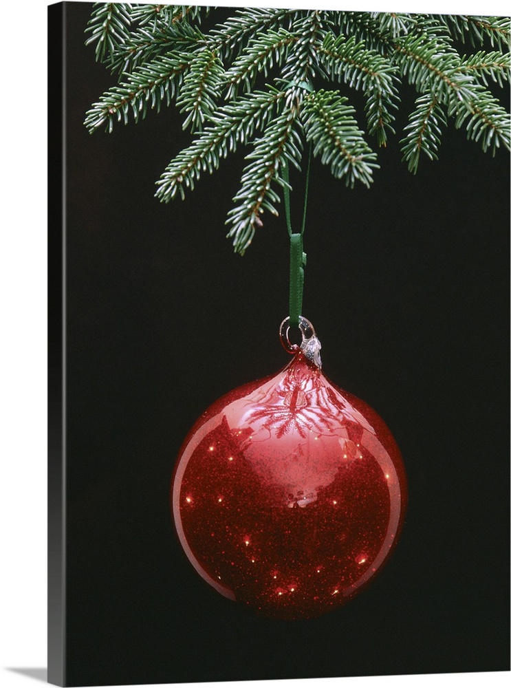 Christmas ornament hanging from tree