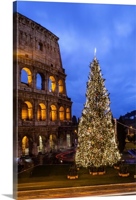 Christmas tree at Colosseum at dusk