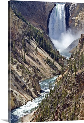 Classic view of the lower falls of the Yellowstone river.