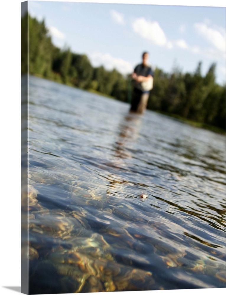 A close-up of a fisherman's fly on the water as he stands in the distance fly fishing the Swan River