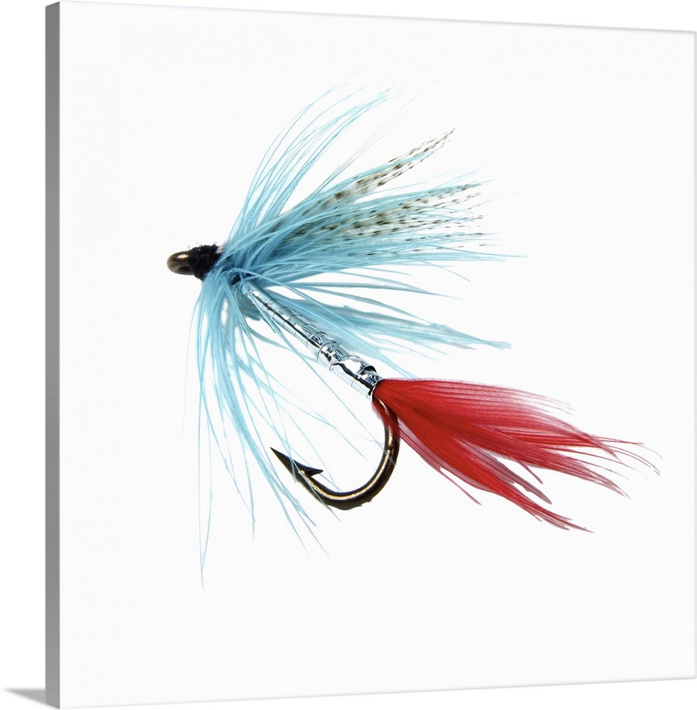 Close Up of A Fly Fishing Hook | Canvas Wall Art | 16x16 | Great Big Canvas