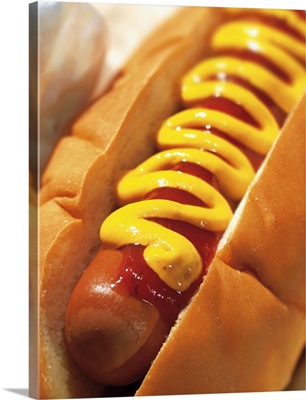 close-up of a hotdog