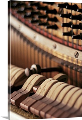 Close-up of a piano's interior parts