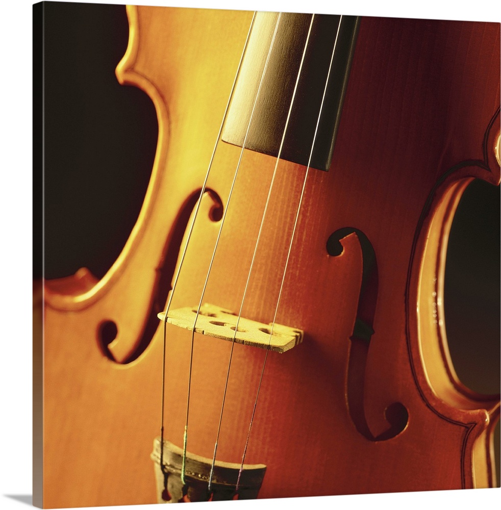 close-up of a violin