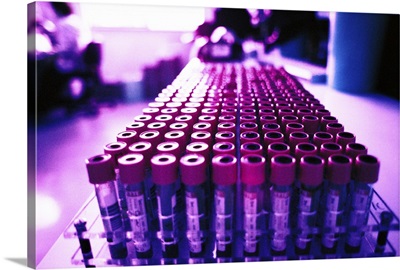 Close-up of an array of vials on a laboratory counter