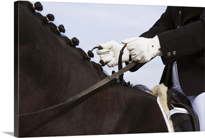 Close-up of dressage horse with rider
