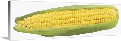 Close-up of fresh corn-on-the-cob