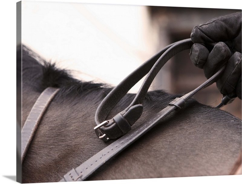 Closeup of hand holding reins of horse Great Big Canvas