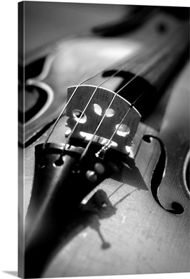 Close-up of strings of violin, Ottawa, Ontario.