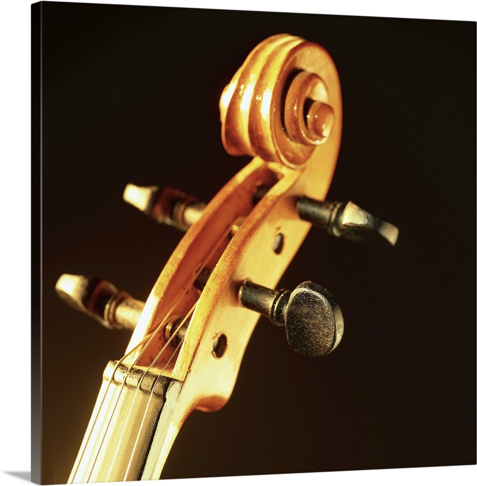 closeup of the keys of a violin Wall Art, Canvas Prints, Framed Prints, Wall Peels Great Big
