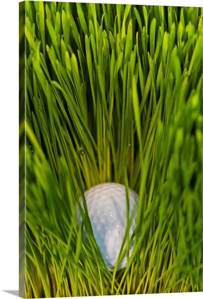 USA, New Jersey, Jersey City, Close-up view of golf ball in grass