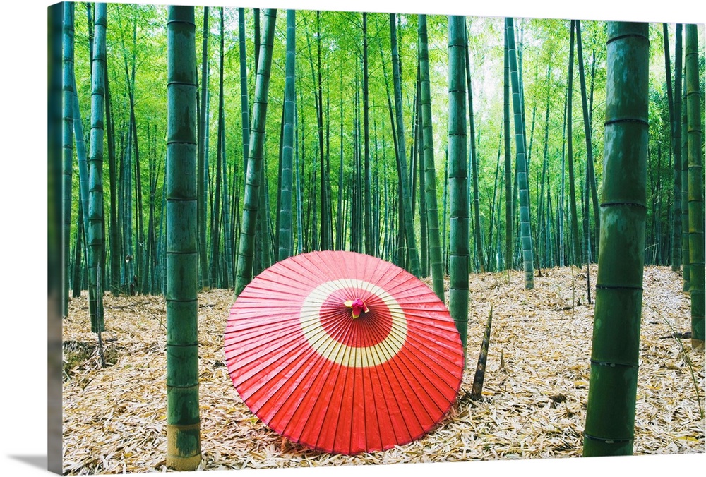 Coarse Oilpaper Umbrella In Bamboo Forest, Muko City, Kyoto Prefecture, Japan