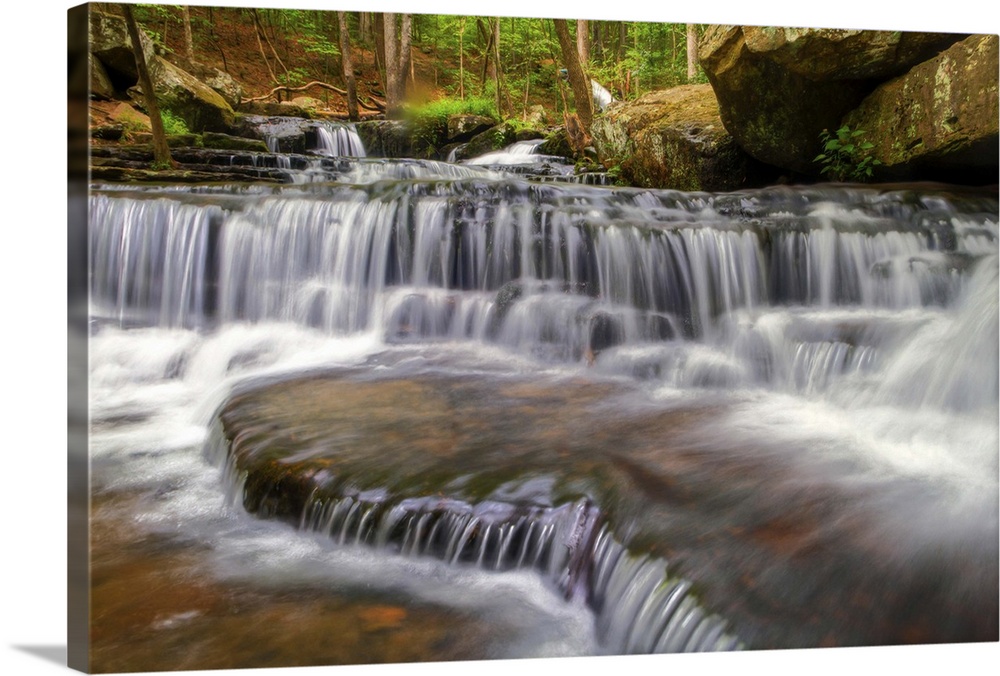 Near heber springs, Arkansas, lies little known creek called Collins Creek.  This here is display of its beauty.
