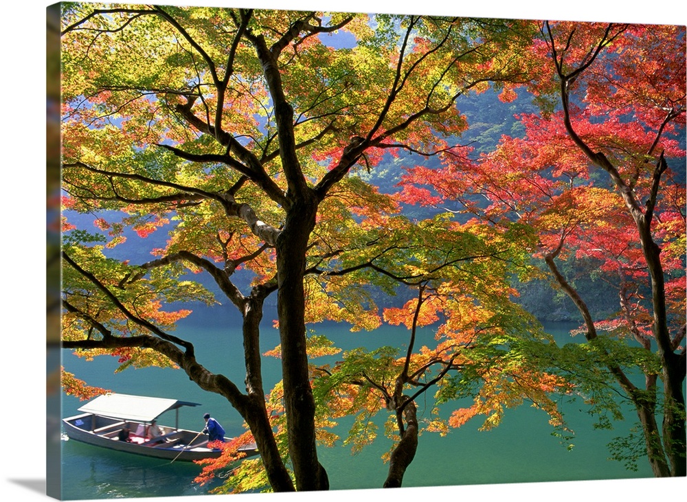 This photograph is taken through trees with autumn leaves that hang over a body of water where there is a boat just to the...