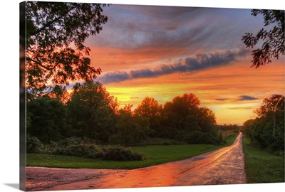 Colorful Summer Sunset on Country Road