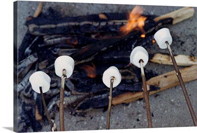 Cooking Marshmallows Over Campfire