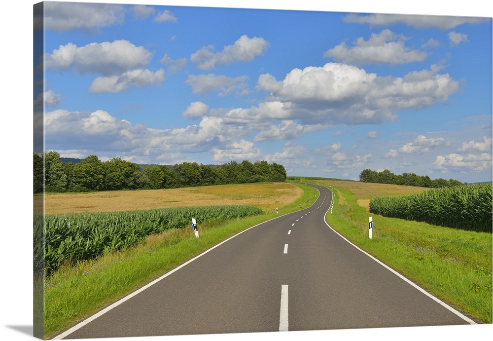 Country Road in the Summer, Stadtlauringen, Franconia, Bavaria, Germany